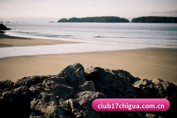 大数据脱水